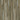 Colosseum 5g Clic _Painted Oak